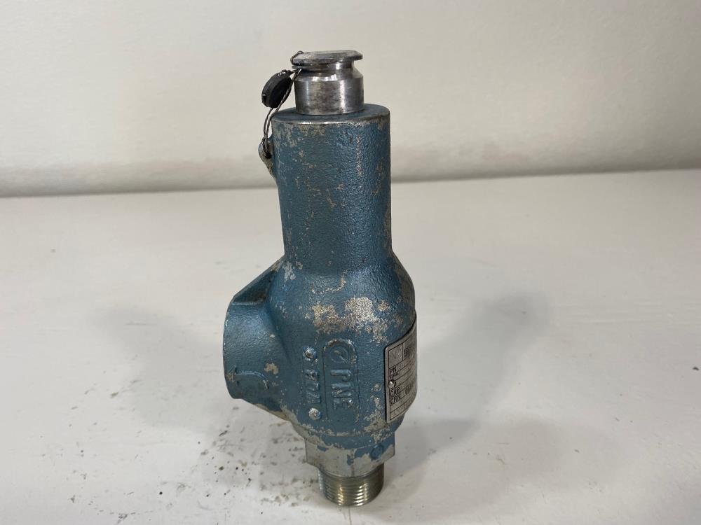 Mercer 1" NPT 150# WCB Relief Valve 81-17151V37P11T